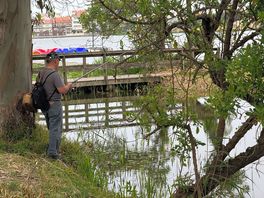 A fishing spot