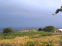 Misty moors