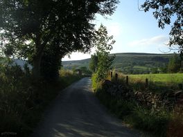 Road to campsite