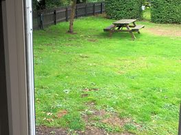 Picnic benches around site