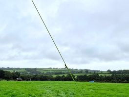 Across the field