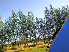 View from our tent