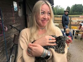 Chicken cuddles