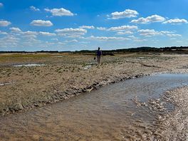The creek