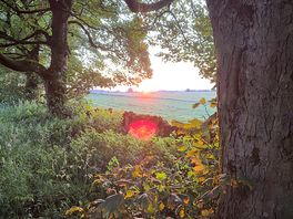 Sunset from the wooded area next to pitch