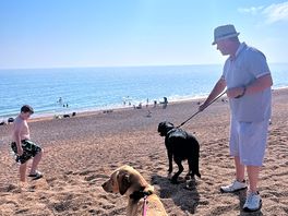 Beach fun dogs loved it