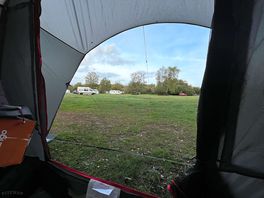 Room with a view