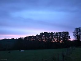 Up before the birds