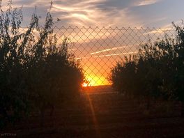 Beautiful sun rises and sunsets