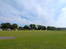 Main field