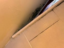 Mould