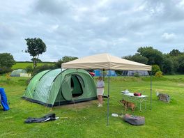 Large pitch