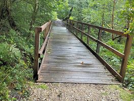 Bridge in the american wood