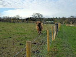 Farm life