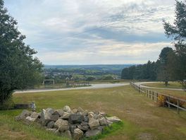 The view