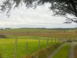 Surrounding scenery