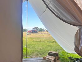 Watching the tractor when we arrived.