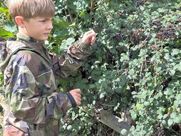 More blackberry picking