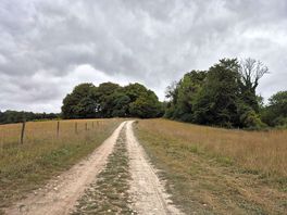 The track up to the site