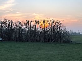 View from back of our caravan