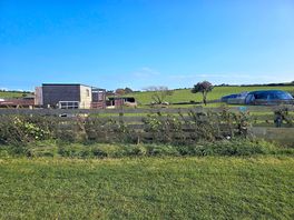 Farm animals - sheep, ducks, turkey, goats & pigs