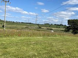 From our pitch