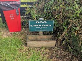 In the dog walking field