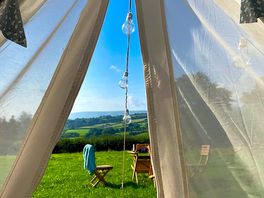 Morning view!