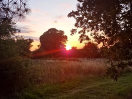 Beautiful sunsets