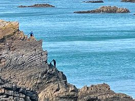 Hartland quay