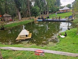 Ducks area