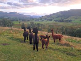 Our neighbours.