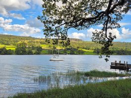 Lakeside view