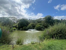 Lake view