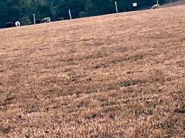 Top pitch