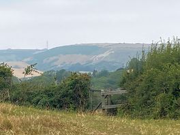 Osmington white horse behind the campsite - a small walk away