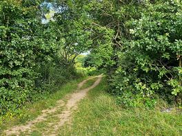 Path