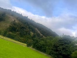 The views are amazing