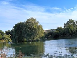 View of lake from side