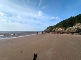 Loads of space on the beach at low tide