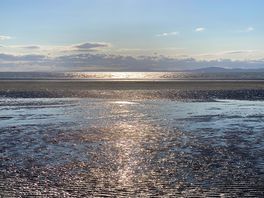 Beach across the road
