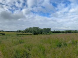 Landschaft