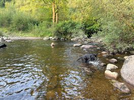 Lovely river and paddling