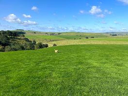 Lovely view