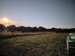 Moon rise over the adjoining meadow