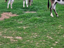 Plenty of space for all the animals ❤️
