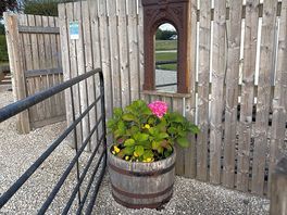 Hydrangeas in plant pots nice touch