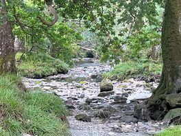 View up the river