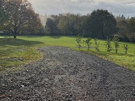 Early autumn morning