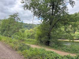 Another river view